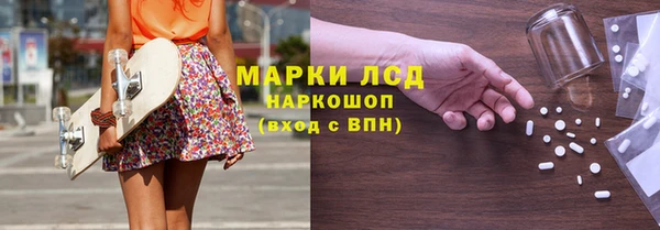 индика Михайловск