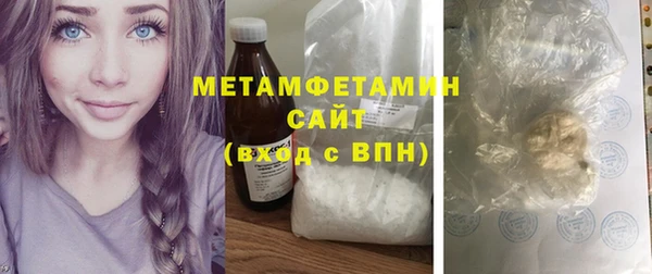 индика Михайловск