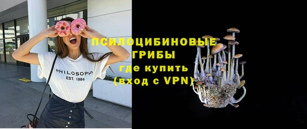 индика Михайловск