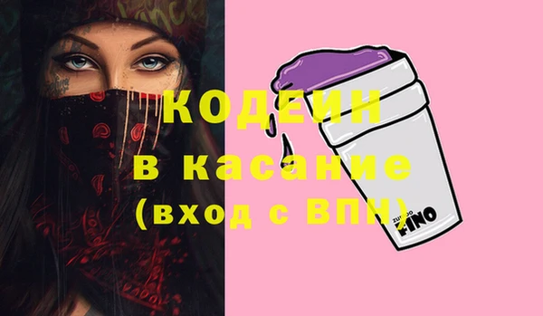 индика Михайловск