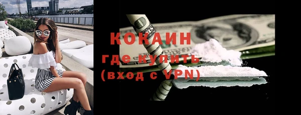индика Михайловск