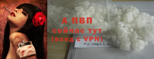 индика Михайловск