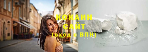 шишки Дмитров