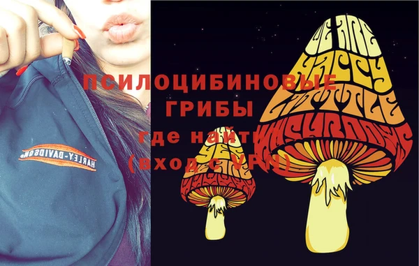 МДМА Дмитровск