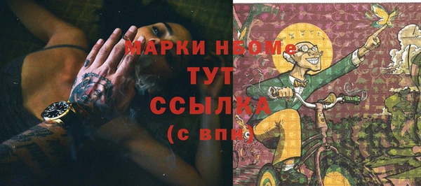 индика Михайловск