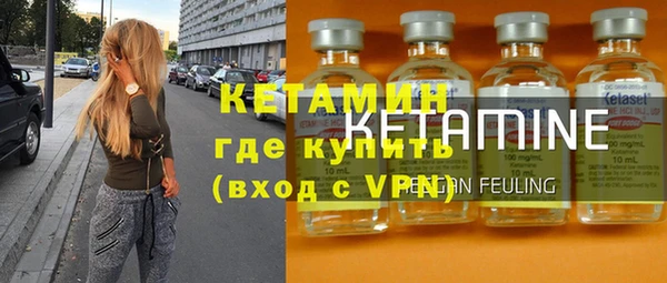 индика Михайловск