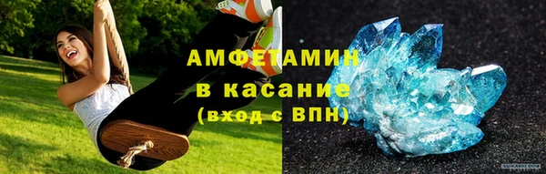 индика Михайловск