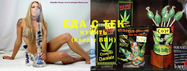 индика Михайловск