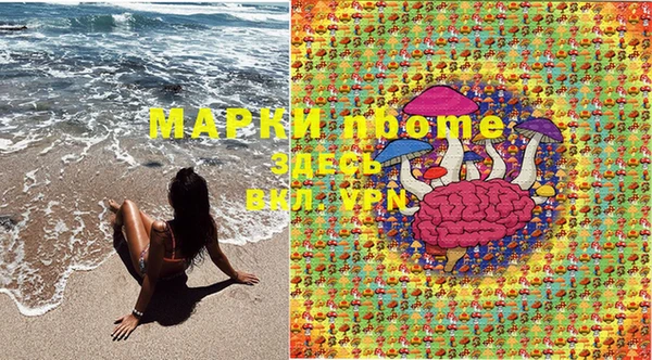 индика Михайловск