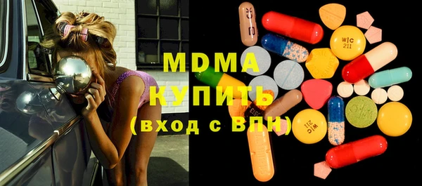 индика Михайловск