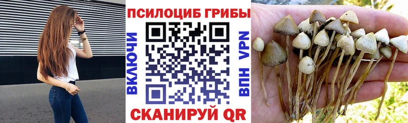 Галлюциногенные грибы GOLDEN TEACHER  Плавск 